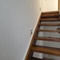 Salih
